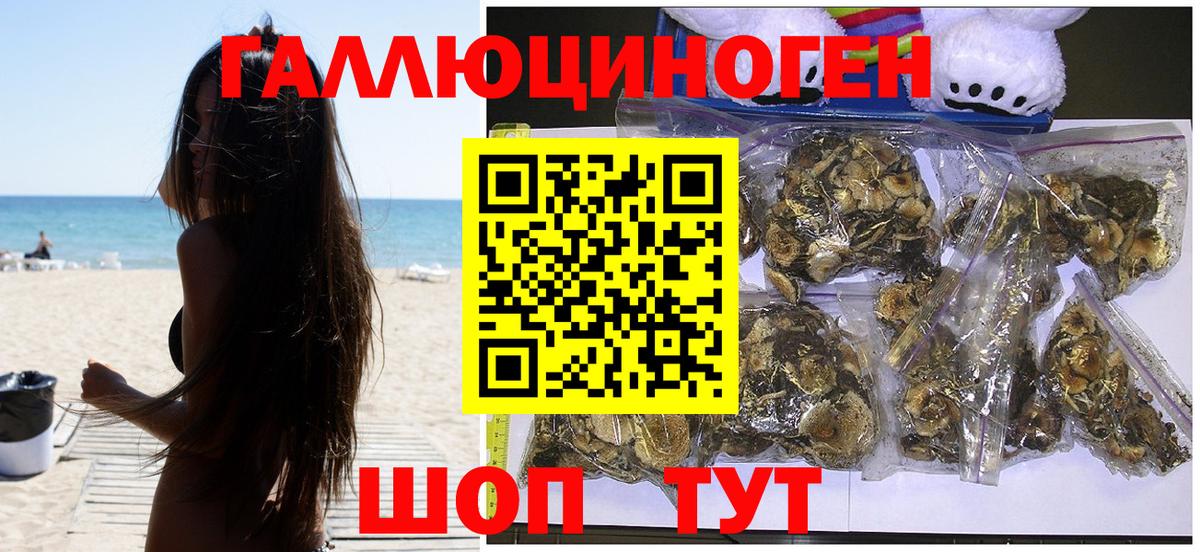Псилоцибиновые грибы GOLDEN TEACHER  Галлюциногенные грибы Magic Shrooms  Вход с VPN  Алейск 