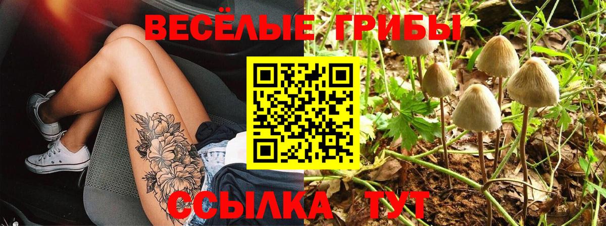 Галлюциногенные грибы мухоморы Алейск